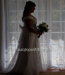 0135 - Image 1