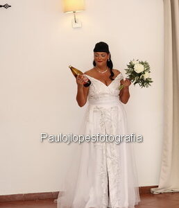 0262 - Image 1