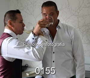 0155-3 - Image 1