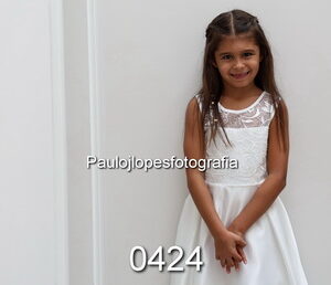 0424-1 - Image 1
