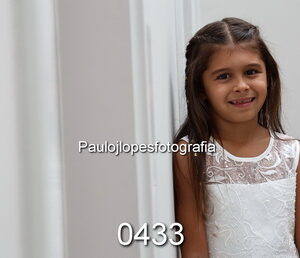 0433-2 - Image 1