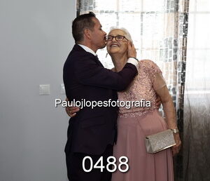 0488-2 - Image 1