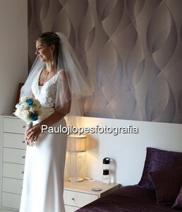 0675-2 - Image 1