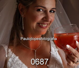 0687-1 - Image 1