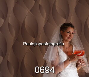0694-2 - Image 1