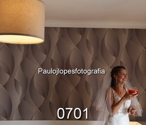 0701-3 - Image 1