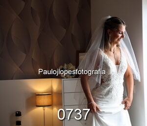 0737-2 - Image 1