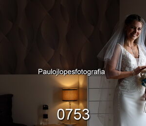 0753-2 - Image 1