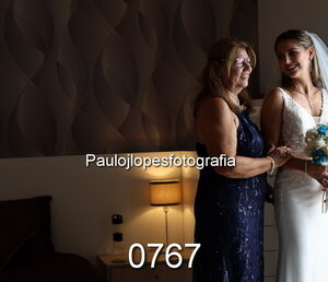 0767-2 - Image 1