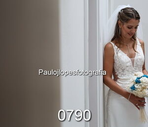 0790-4 - Image 1