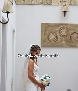 0830-2 - Image 1