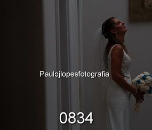 0834-3 - Image 1