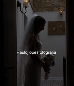 0863-2 - Image 1