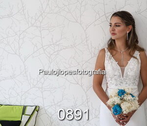 0891-3 - Image 1