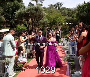 1029-3 - Image 1