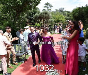 1032-3 - Image 1