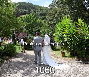 1060-3 - Image 1