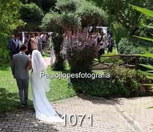 1071-2 - Image 1