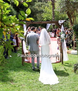 1082-2 - Image 1
