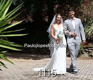 1115-1 - Image 1