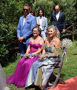 1126-2 - Image 1