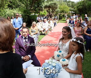 1134-3 - Image 1