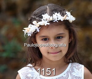 1151-2 - Image 1