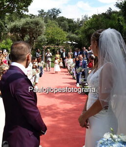 1160-4 - Image 1
