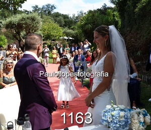 1163-4 - Image 1