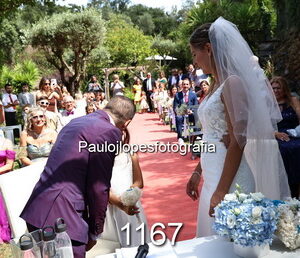 1167-2 - Image 1