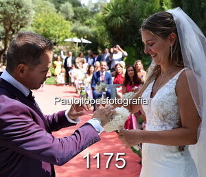 1175-2 - Image 1