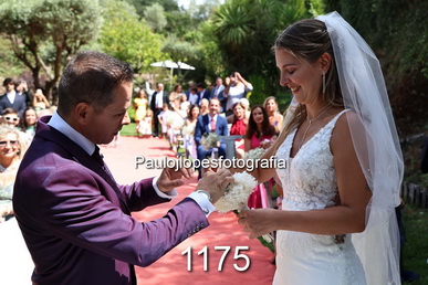1175-2