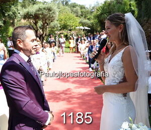 1185-3 - Image 1