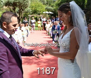 1187-2 - Image 1