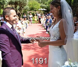 1191-4 - Image 1
