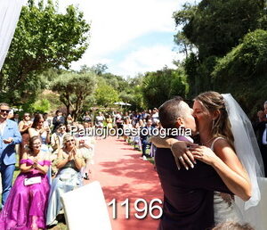 1196-1 - Image 1