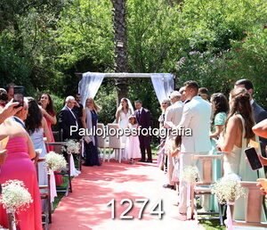 1274-3 - Image 1