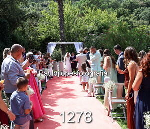 1278-2 - Image 1