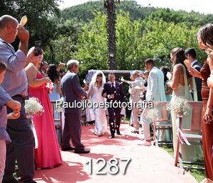 1287-3 - Image 1