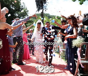 1296-1 - Image 1