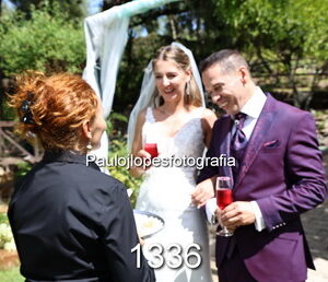 1336-2 - Image 1