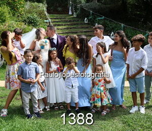 1388-2 - Image 1