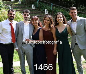 1466-3 - Image 1