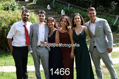 1466-3