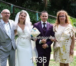 1536-3 - Image 1