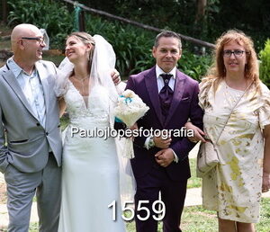 1559-3 - Image 1