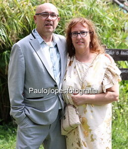 1566-4 - Image 1