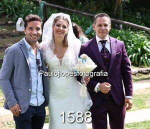 1588-3 - Image 1