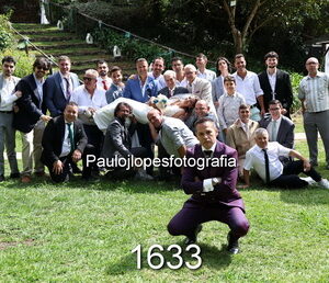1633-1 - Image 1