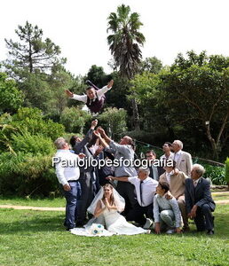 1655-2 - Image 1